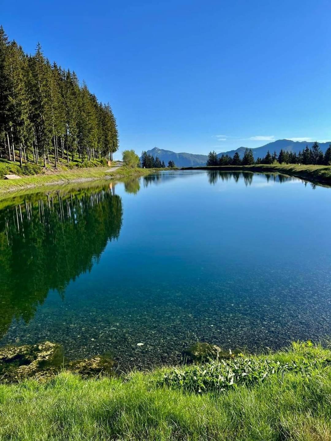 Апартаменты Angererhof Йохберг Экстерьер фото